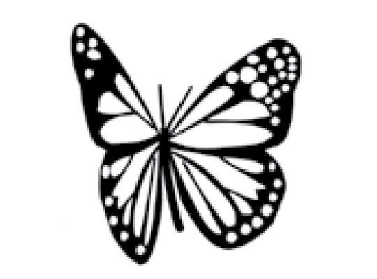 Трусы Secrets tatoo papillon Образец слип